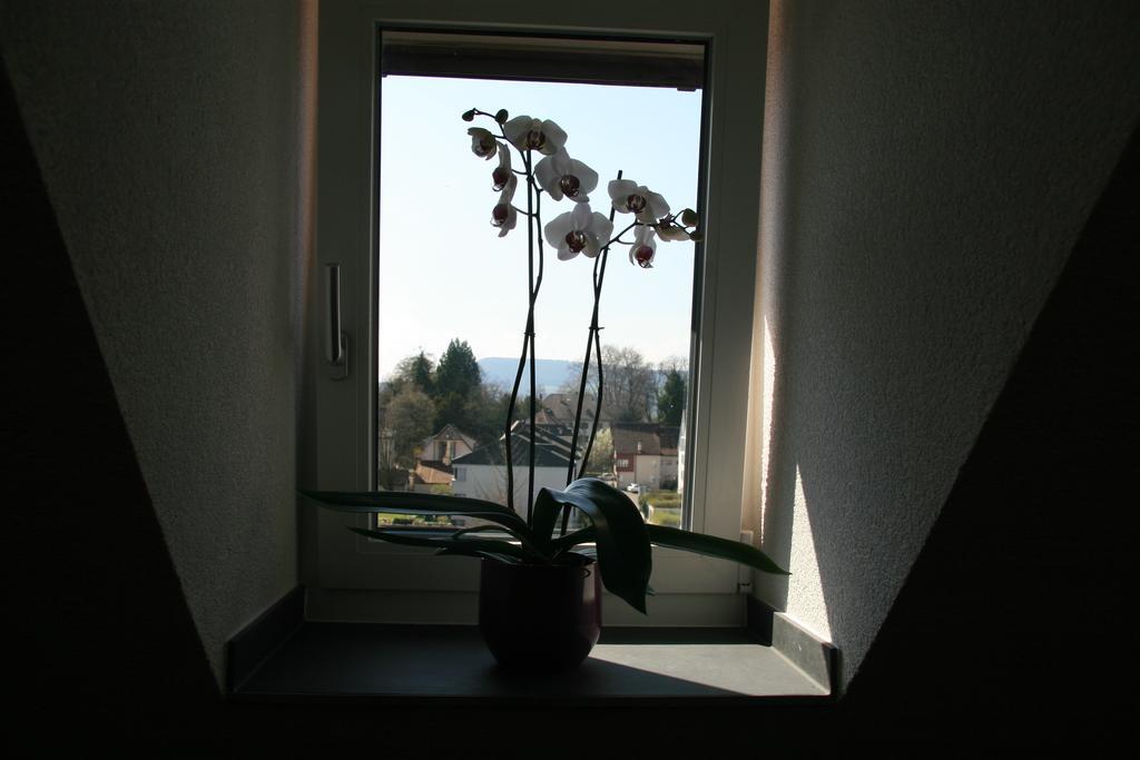 Hotel Eremitage Arlesheim Exterior photo